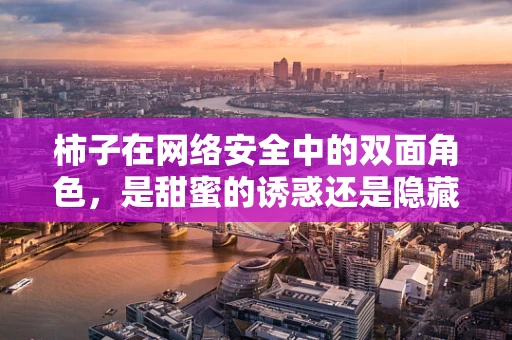 柿子在网络安全中的双面角色，是甜蜜的诱惑还是隐藏的威胁？