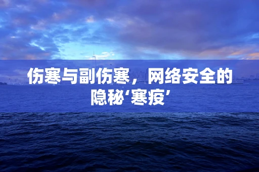 伤寒与副伤寒，网络安全的隐秘‘寒疫’