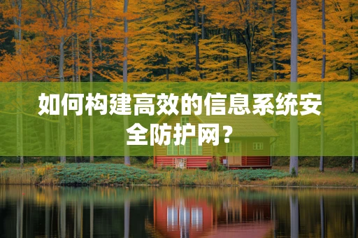 如何构建高效的信息系统安全防护网？
