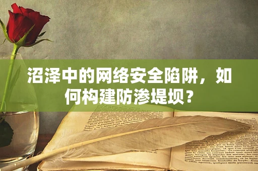 沼泽中的网络安全陷阱，如何构建防渗堤坝？