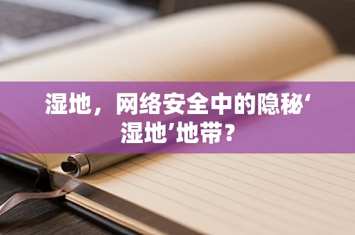 湿地，网络安全中的隐秘‘湿地’地带？