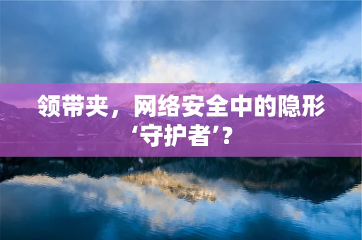 领带夹，网络安全中的隐形‘守护者’？