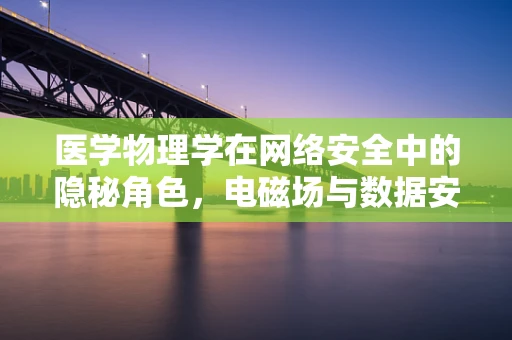 医学物理学在网络安全中的隐秘角色，电磁场与数据安全的微妙平衡