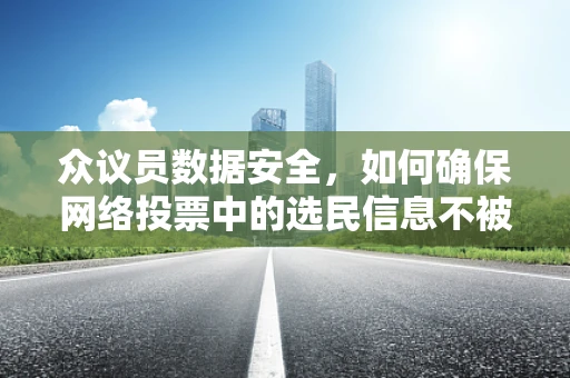 众议员数据安全，如何确保网络投票中的选民信息不被泄露？