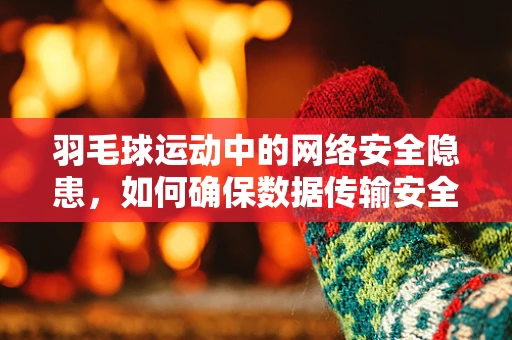 羽毛球运动中的网络安全隐患，如何确保数据传输安全？