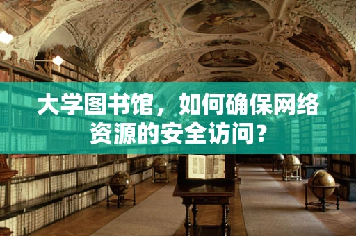 大学图书馆，如何确保网络资源的安全访问？