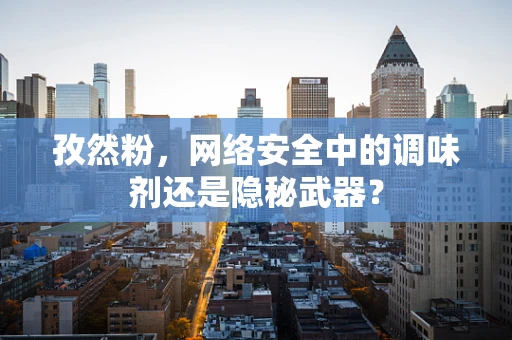 孜然粉，网络安全中的调味剂还是隐秘武器？