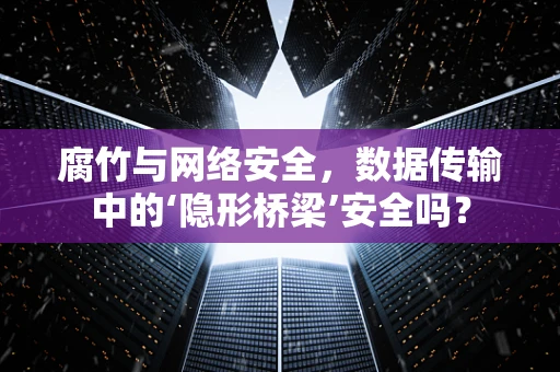 腐竹与网络安全，数据传输中的‘隐形桥梁’安全吗？