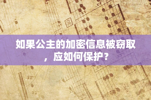 如果公主的加密信息被窃取，应如何保护？