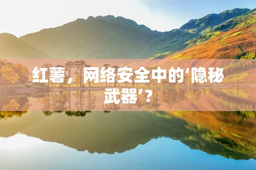 红薯，网络安全中的‘隐秘武器’？