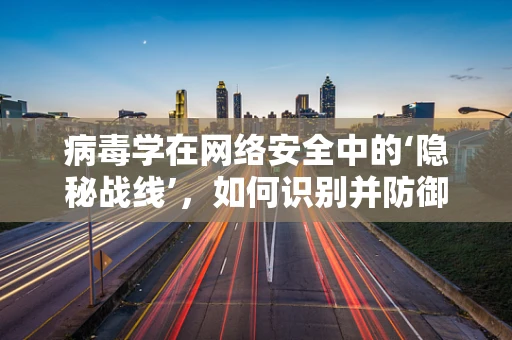 病毒学在网络安全中的‘隐秘战线’，如何识别并防御网络病毒？
