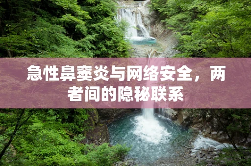 急性鼻窦炎与网络安全，两者间的隐秘联系
