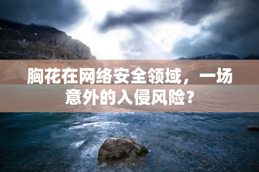 胸花在网络安全领域，一场意外的入侵风险？