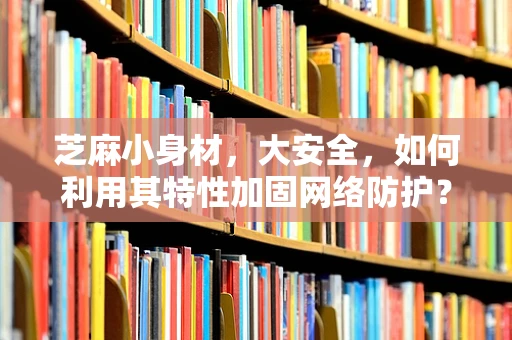 芝麻小身材，大安全，如何利用其特性加固网络防护？