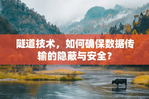 隧道技术，如何确保数据传输的隐蔽与安全？