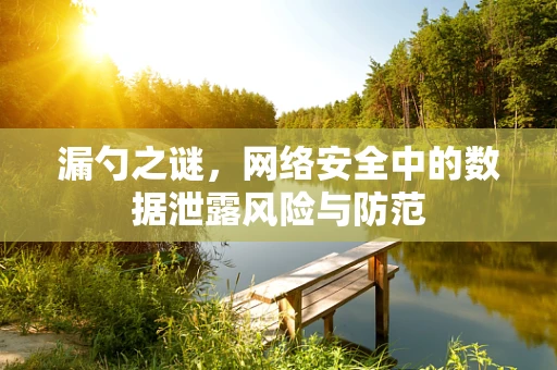 漏勺之谜，网络安全中的数据泄露风险与防范