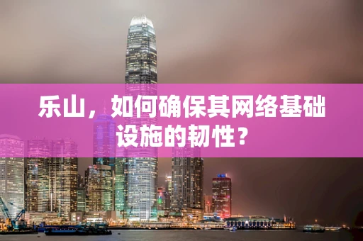 乐山，如何确保其网络基础设施的韧性？