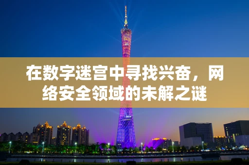在数字迷宫中寻找兴奋，网络安全领域的未解之谜