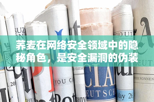 荞麦在网络安全领域中的隐秘角色，是安全漏洞的伪装者吗？