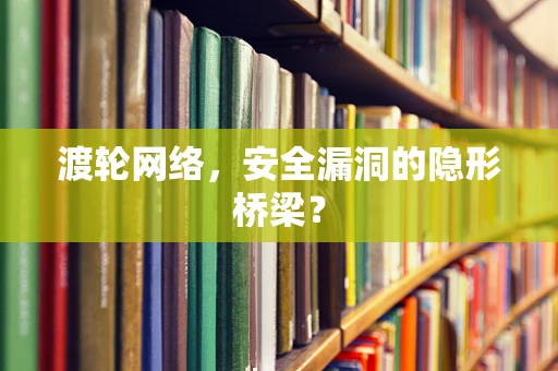 渡轮网络，安全漏洞的隐形桥梁？