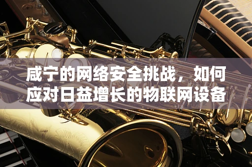 咸宁的网络安全挑战，如何应对日益增长的物联网设备风险？