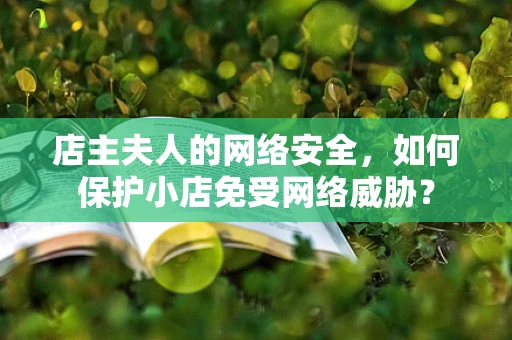 店主夫人的网络安全，如何保护小店免受网络威胁？