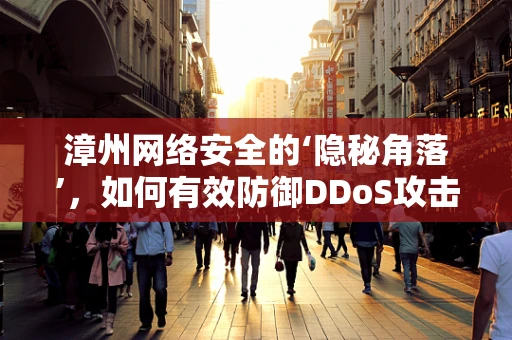 漳州网络安全的‘隐秘角落’，如何有效防御DDoS攻击？