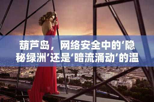 葫芦岛，网络安全中的‘隐秘绿洲’还是‘暗流涌动’的温床？