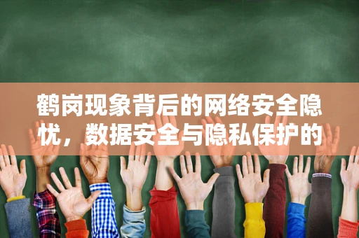 鹤岗现象背后的网络安全隐忧，数据安全与隐私保护的挑战