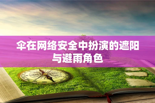 伞在网络安全中扮演的遮阳与避雨角色