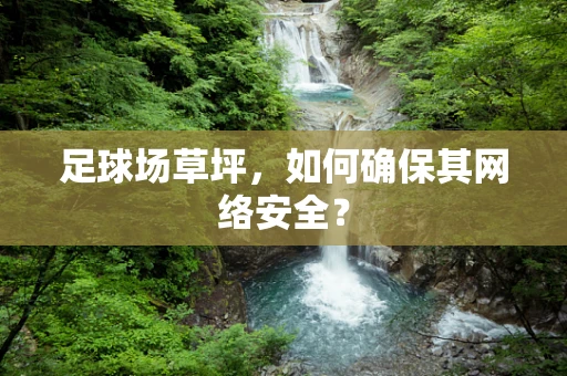 足球场草坪，如何确保其网络安全？