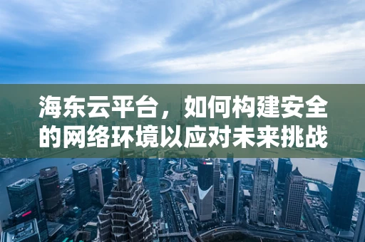 海东云平台，如何构建安全的网络环境以应对未来挑战？