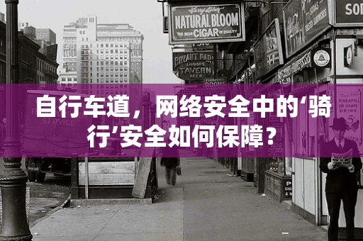 自行车道，网络安全中的‘骑行’安全如何保障？