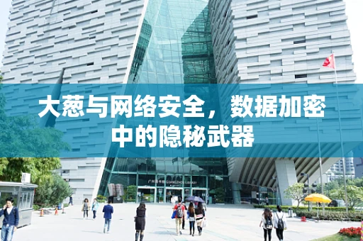 大葱与网络安全，数据加密中的隐秘武器