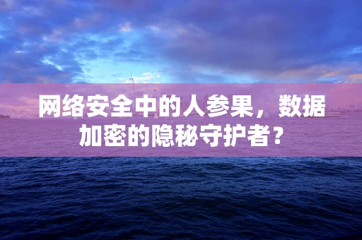 网络安全中的人参果，数据加密的隐秘守护者？