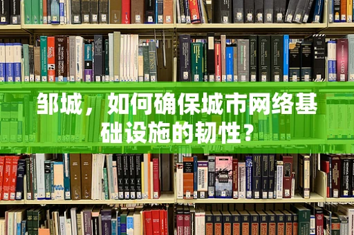 邹城，如何确保城市网络基础设施的韧性？