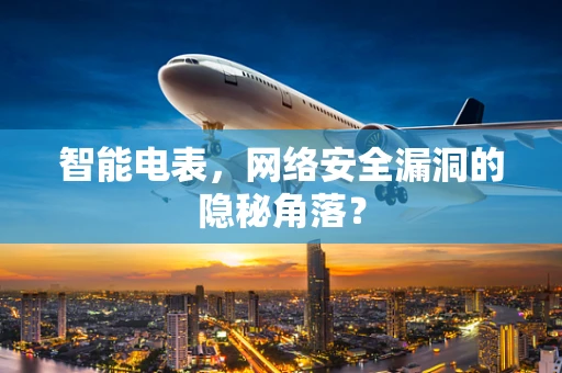 智能电表，网络安全漏洞的隐秘角落？