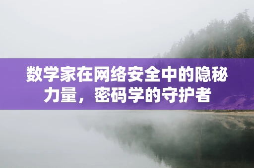 数学家在网络安全中的隐秘力量，密码学的守护者