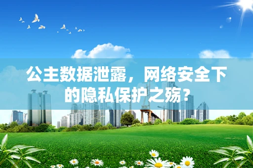 公主数据泄露，网络安全下的隐私保护之殇？