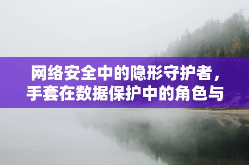 网络安全中的隐形守护者，手套在数据保护中的角色与挑战？