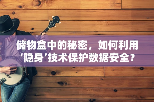 储物盒中的秘密，如何利用‘隐身’技术保护数据安全？