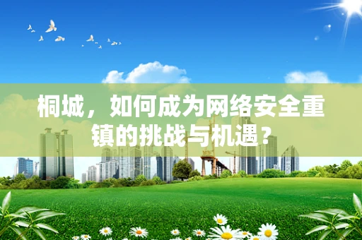 桐城，如何成为网络安全重镇的挑战与机遇？