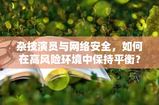 杂技演员与网络安全，如何在高风险环境中保持平衡？