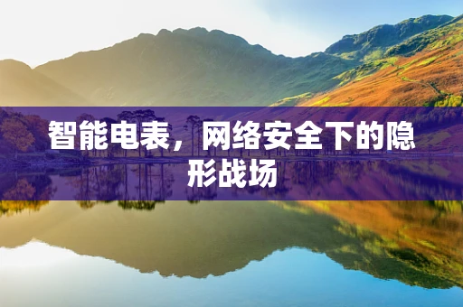 智能电表，网络安全下的隐形战场