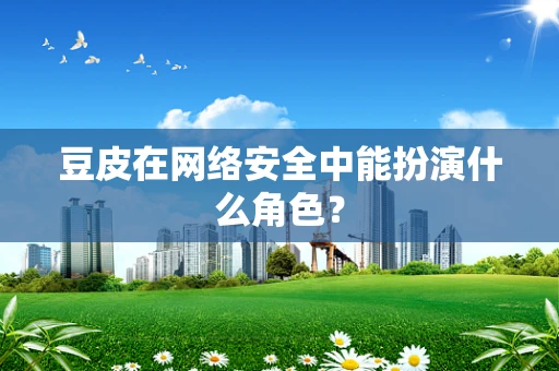 豆皮在网络安全中能扮演什么角色？