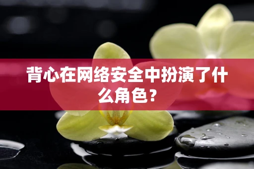 背心在网络安全中扮演了什么角色？