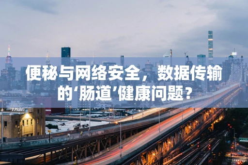 便秘与网络安全，数据传输的‘肠道’健康问题？