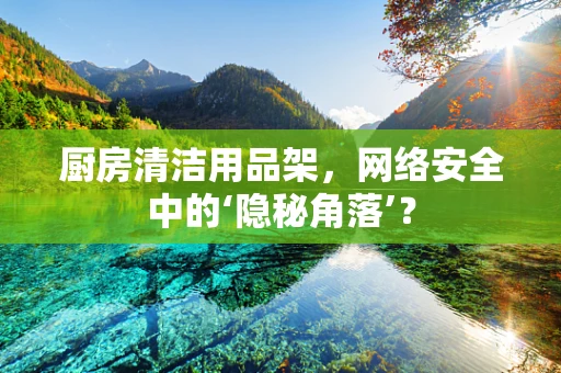 厨房清洁用品架，网络安全中的‘隐秘角落’？