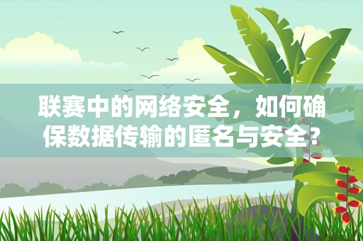 联赛中的网络安全，如何确保数据传输的匿名与安全？