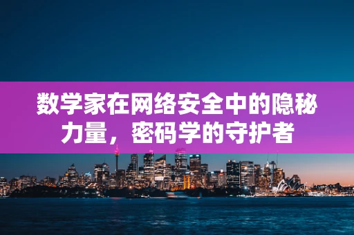 数学家在网络安全中的隐秘力量，密码学的守护者